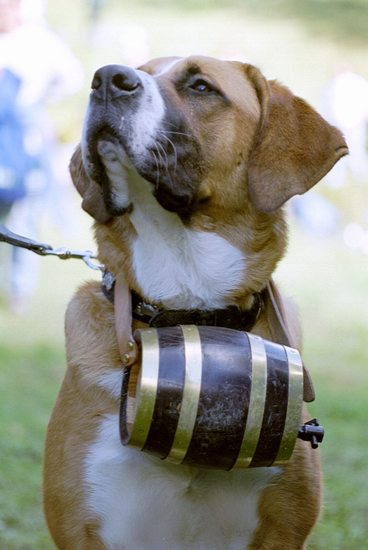 openphotonet_0025_72